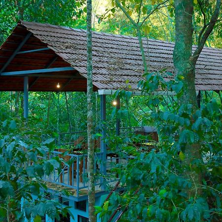 Snow Hills Resorts Thekkady Zewnętrze zdjęcie