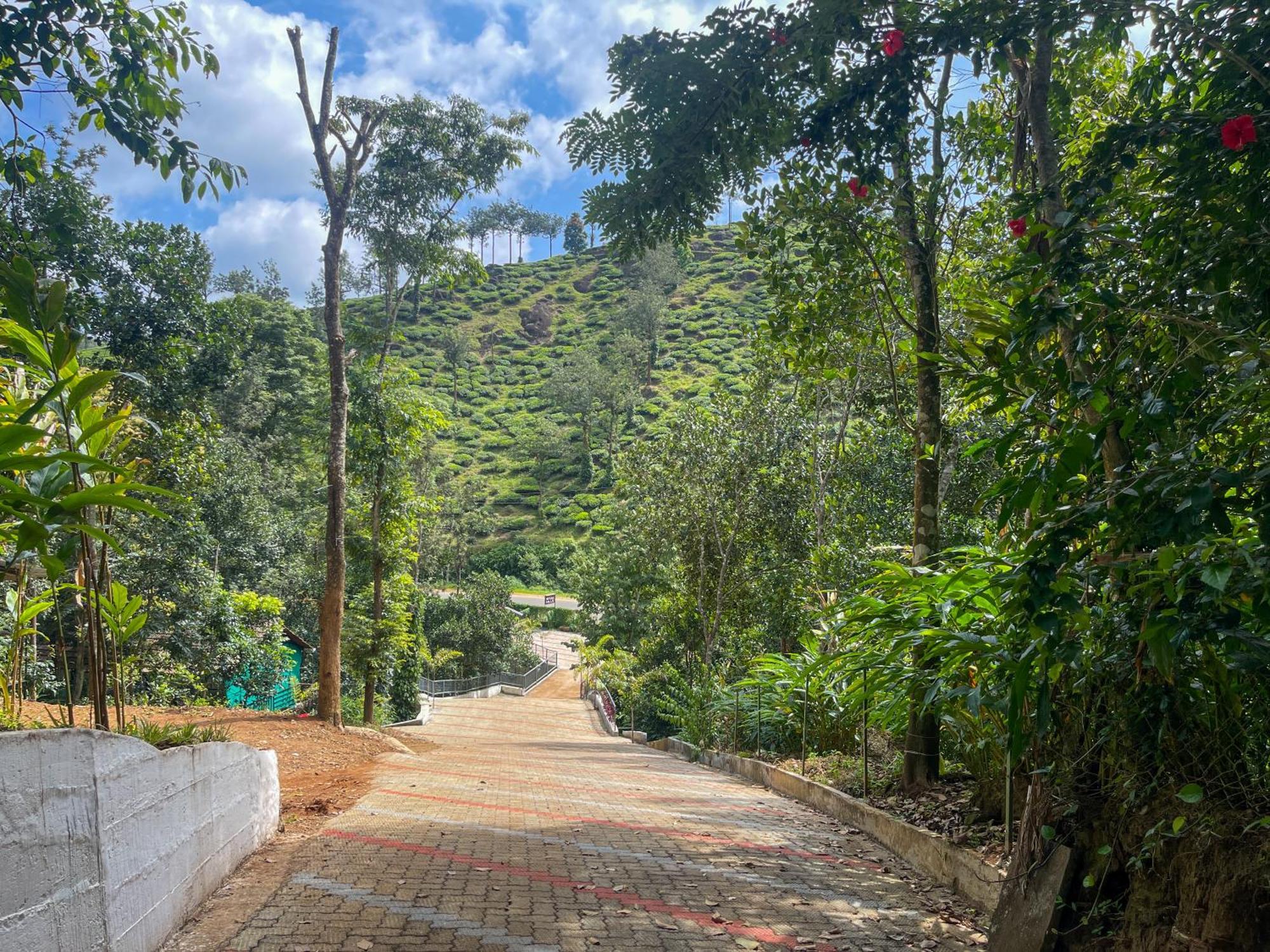 Snow Hills Resorts Thekkady Zewnętrze zdjęcie
