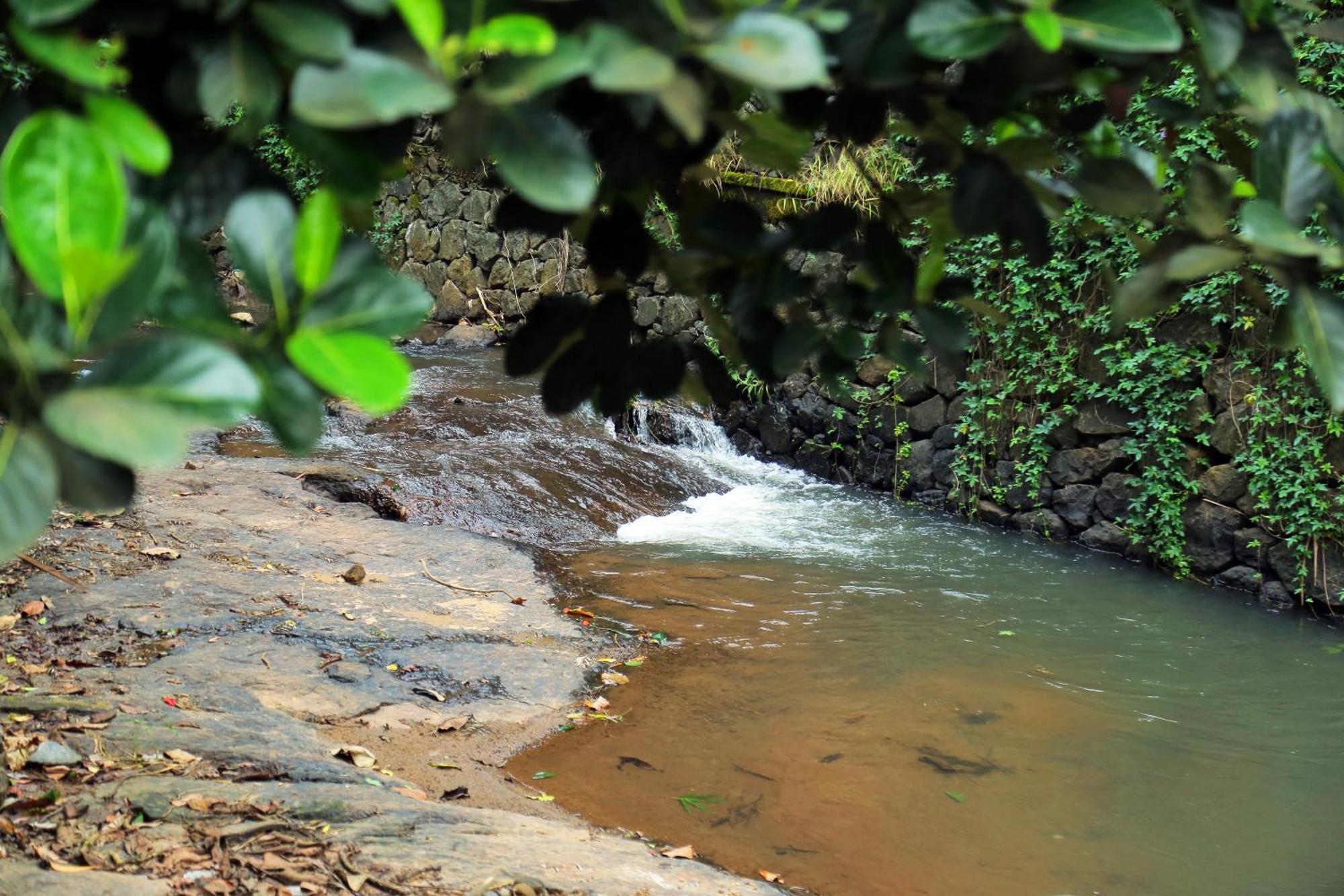 Snow Hills Resorts Thekkady Zewnętrze zdjęcie